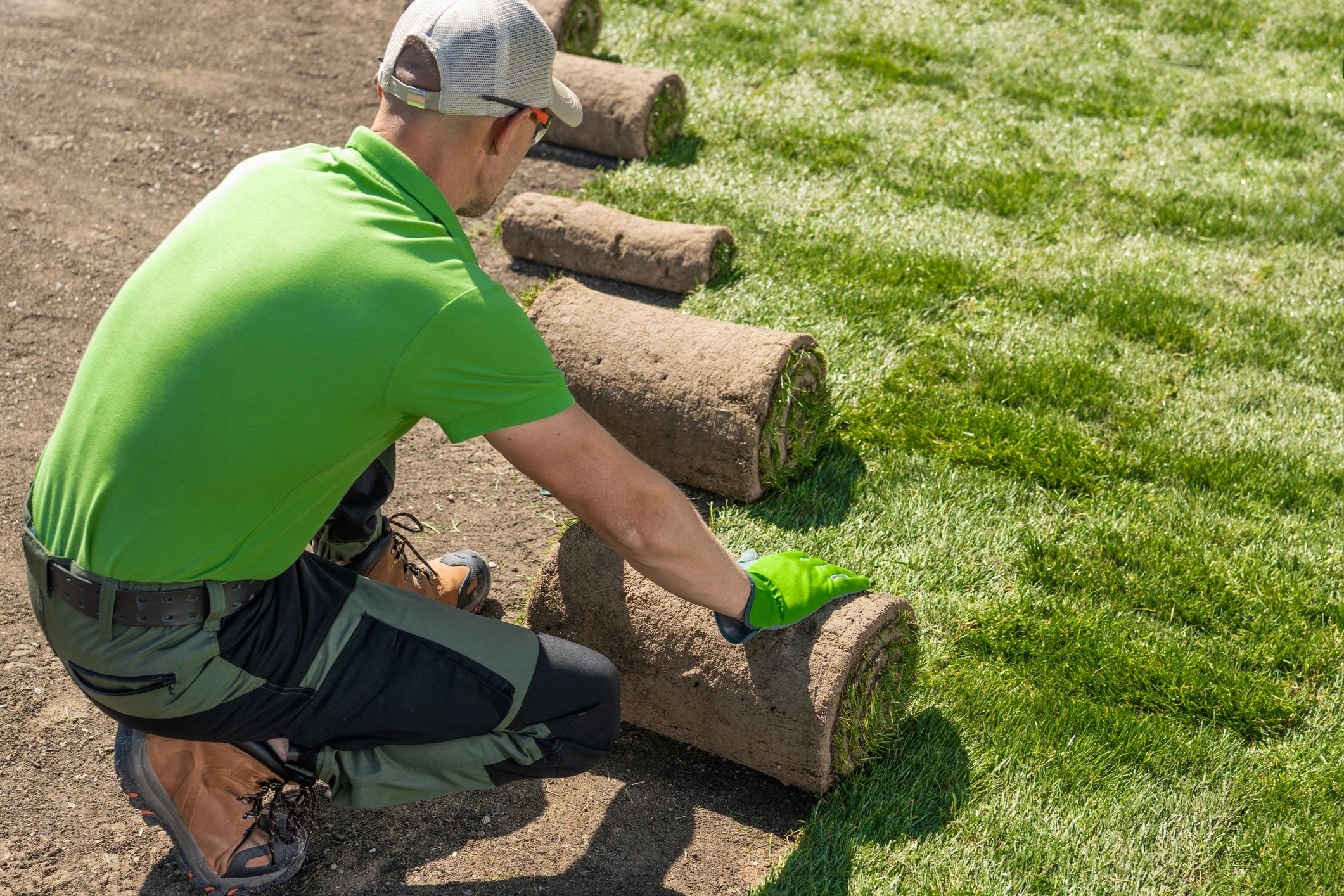 Sod installation lawn landscaping